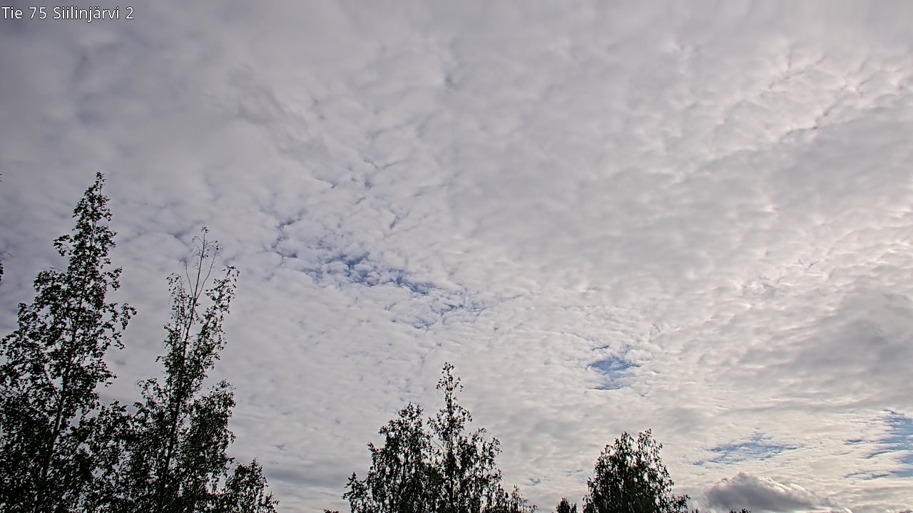 Weather Camera Image Väg 75 Siilinjärvi2, Siilinjärvi, Pohjois-Savo