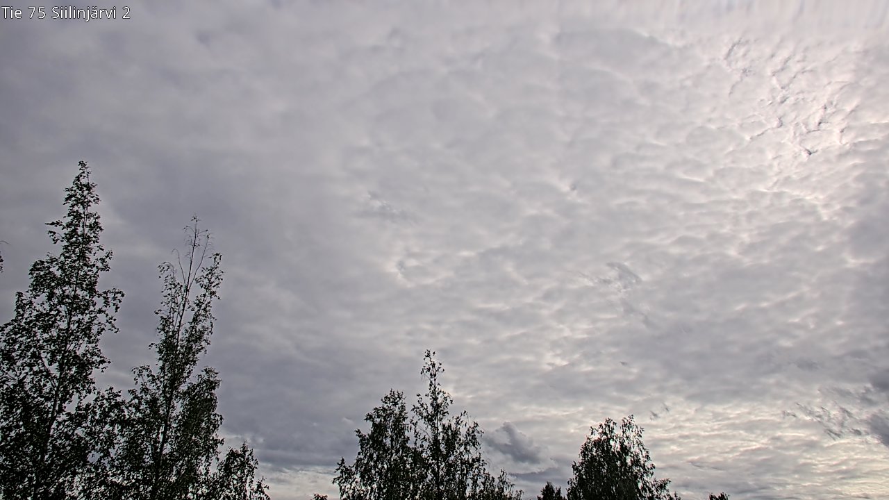 Weather Camera Image Väg 75 Siilinjärvi2, Siilinjärvi, Pohjois-Savo