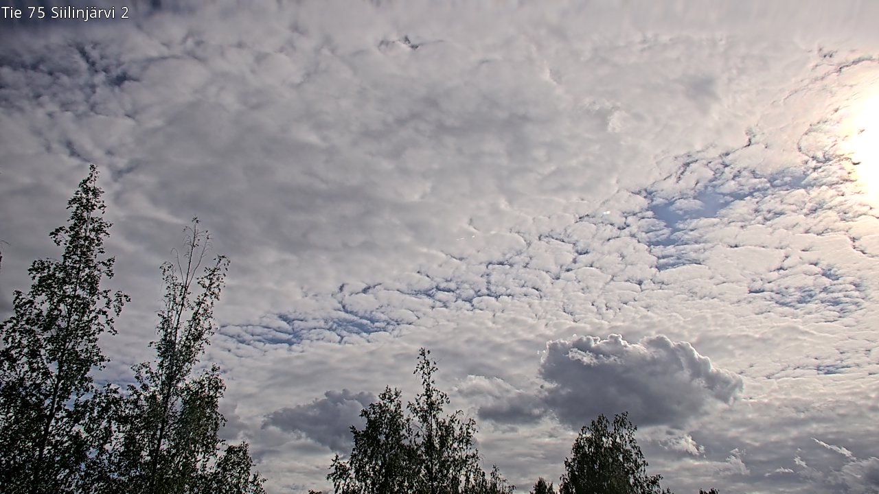 Weather Camera Image Väg 75 Siilinjärvi2, Siilinjärvi, Pohjois-Savo