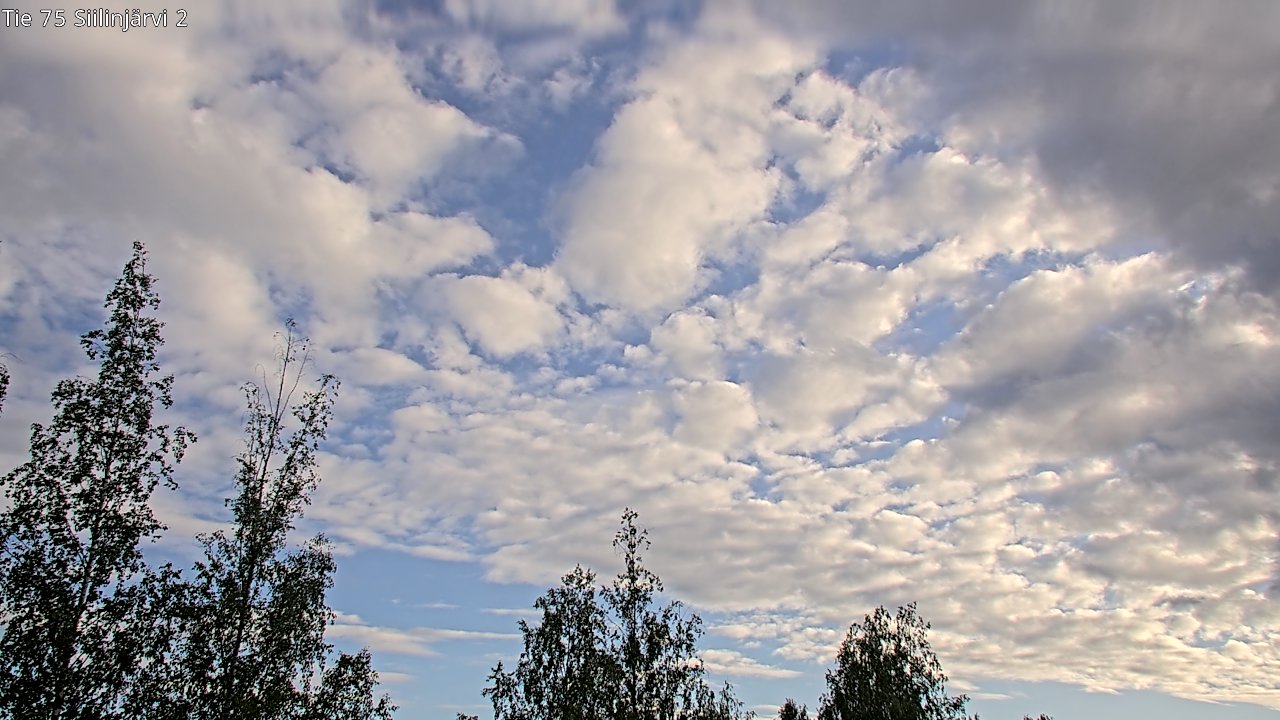 Weather Camera Image Väg 75 Siilinjärvi2, Siilinjärvi, Pohjois-Savo