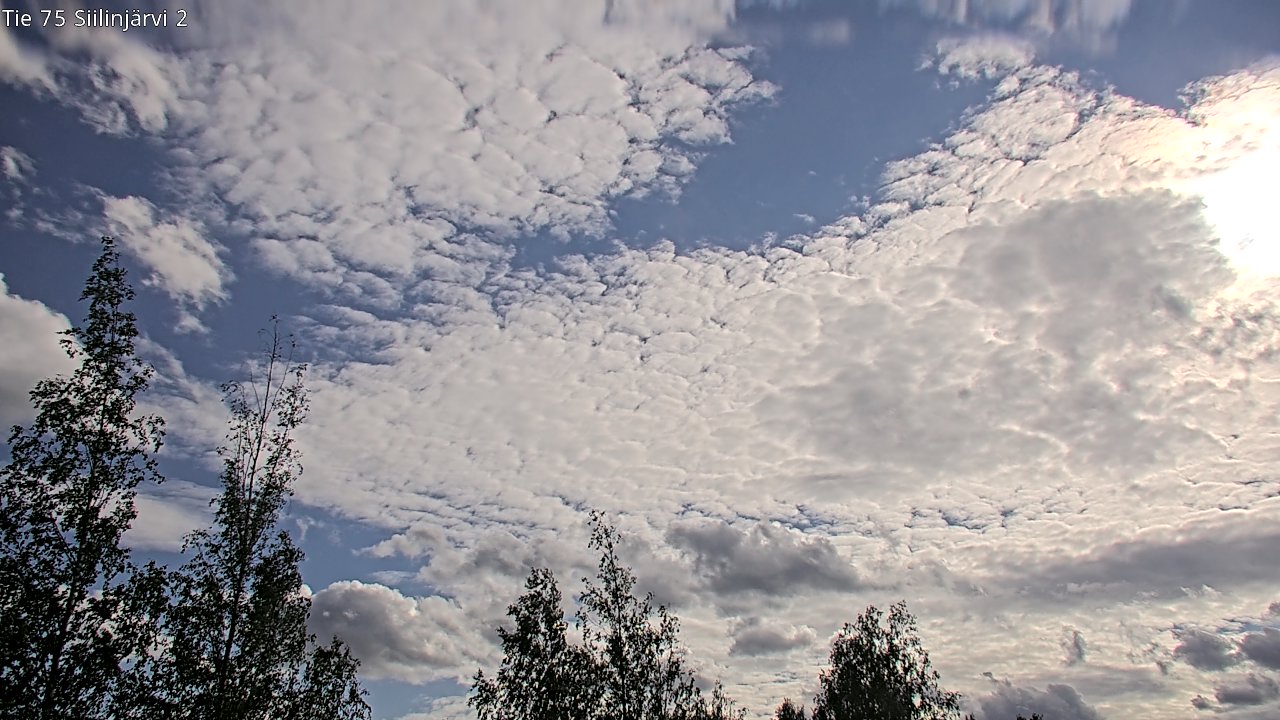 Weather Camera Image Väg 75 Siilinjärvi2, Siilinjärvi, Pohjois-Savo