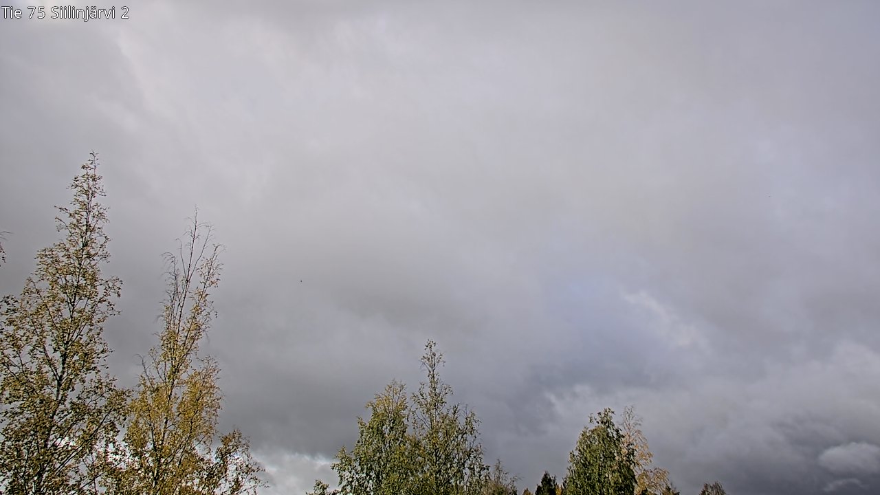 Weather Camera Image Väg 75 Siilinjärvi2, Siilinjärvi, Pohjois-Savo