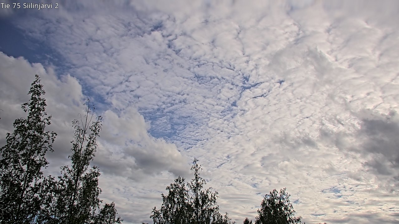 Weather Camera Image Väg 75 Siilinjärvi2, Siilinjärvi, Pohjois-Savo