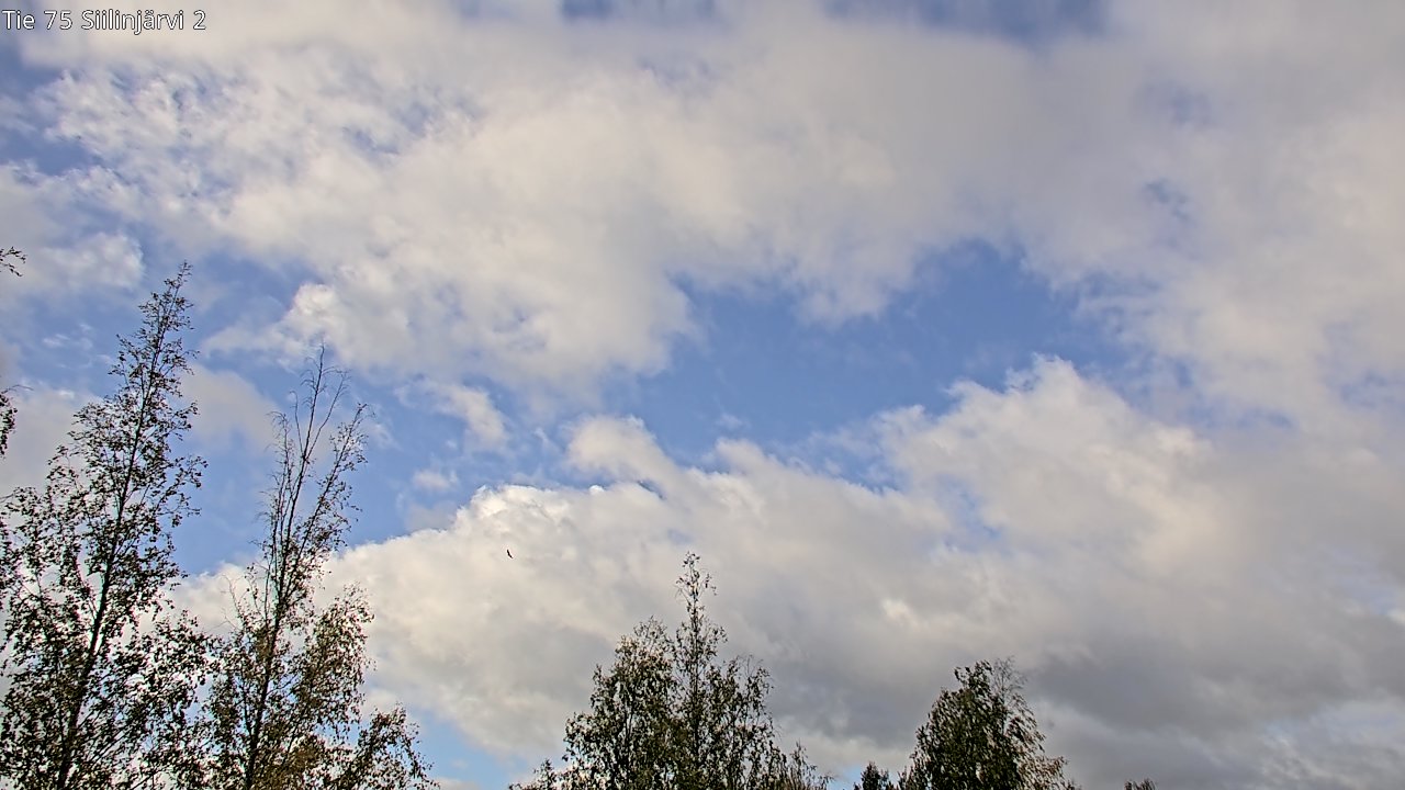 Weather Camera Image Väg 75 Siilinjärvi2, Siilinjärvi, Pohjois-Savo