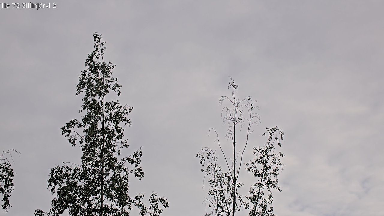 Kelikamerat Kuva Tie 75 Siilinjärvi2, Siilinjärvi, Pohjois-Savo