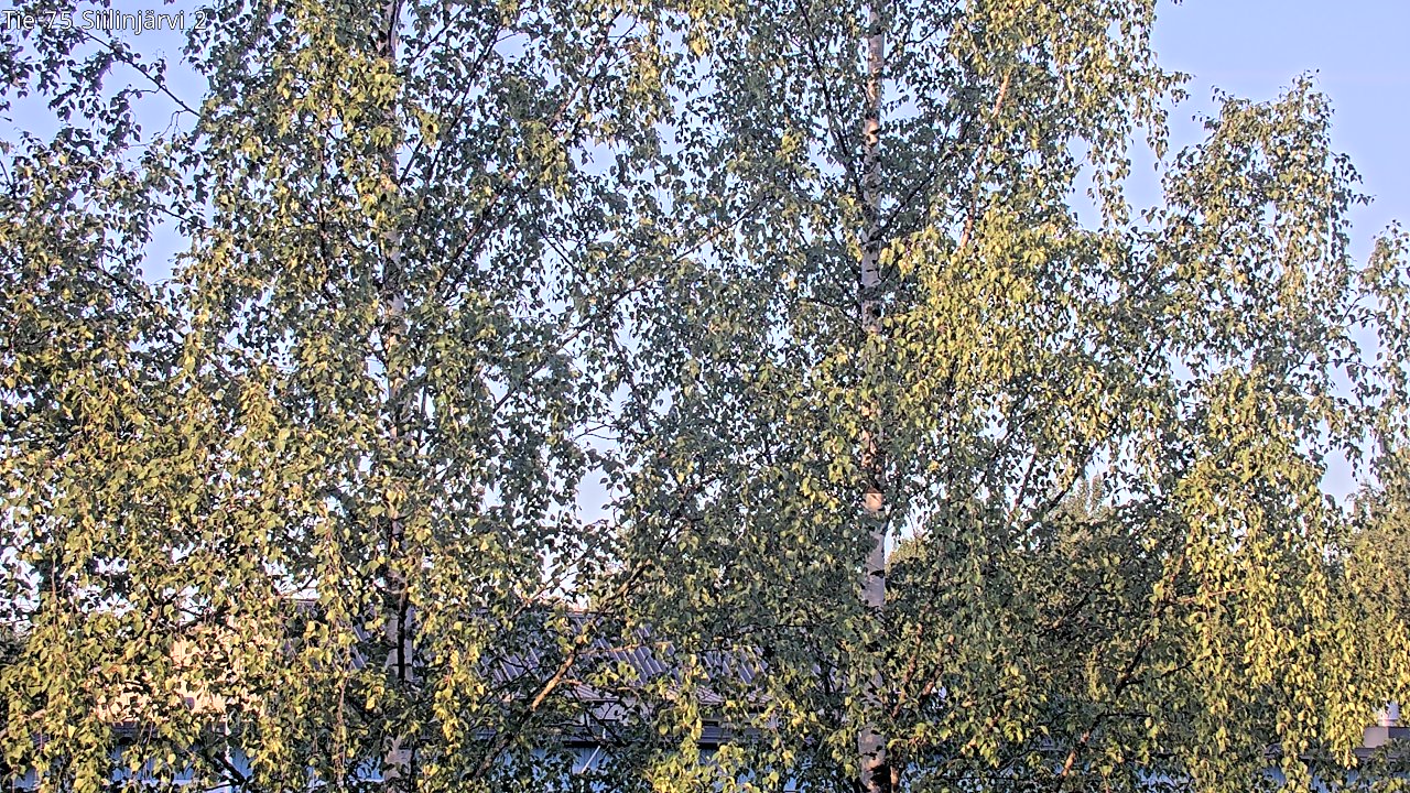 Weather Camera Image Väg 75 Siilinjärvi2, Siilinjärvi, Pohjois-Savo