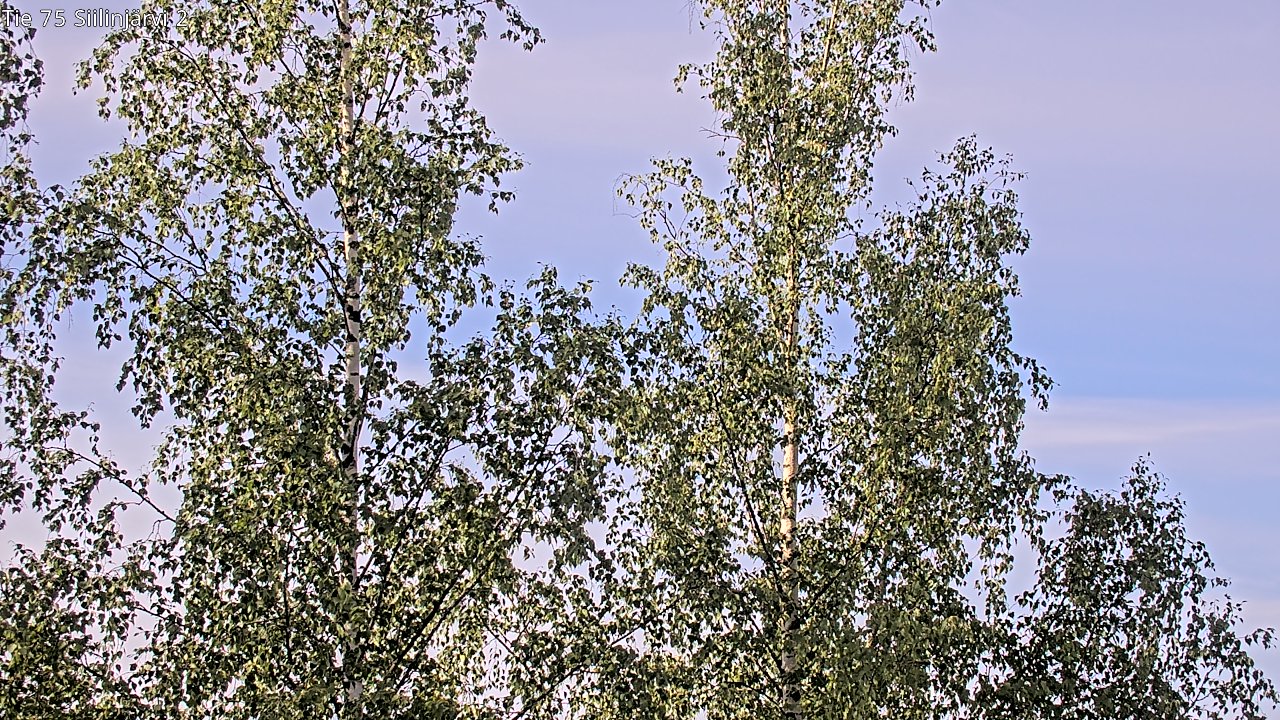 Weather Camera Image Road 75 Siilinjärvi2, Siilinjärvi, Pohjois-Savo
