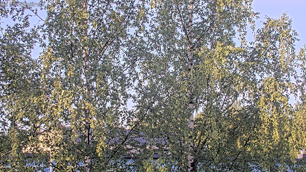 Weather Camera Image Väg 75 Siilinjärvi2, Siilinjärvi, Pohjois-Savo