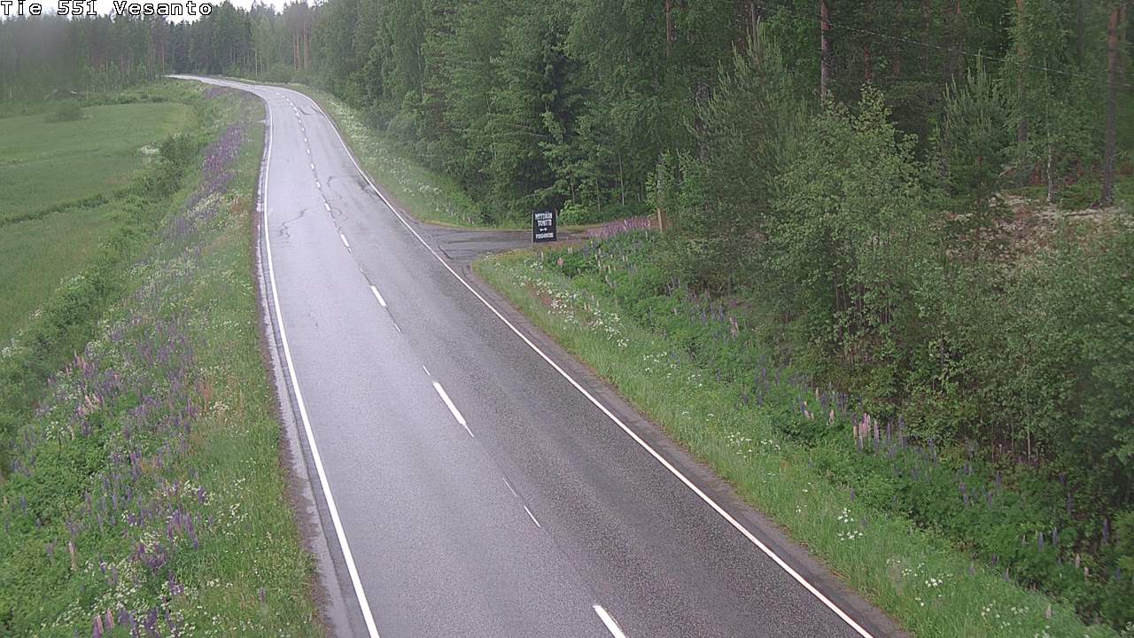 Kelikamerat Kuva Tie 551 Vesanto Löttökorpi, Vesanto, Pohjois-Savo