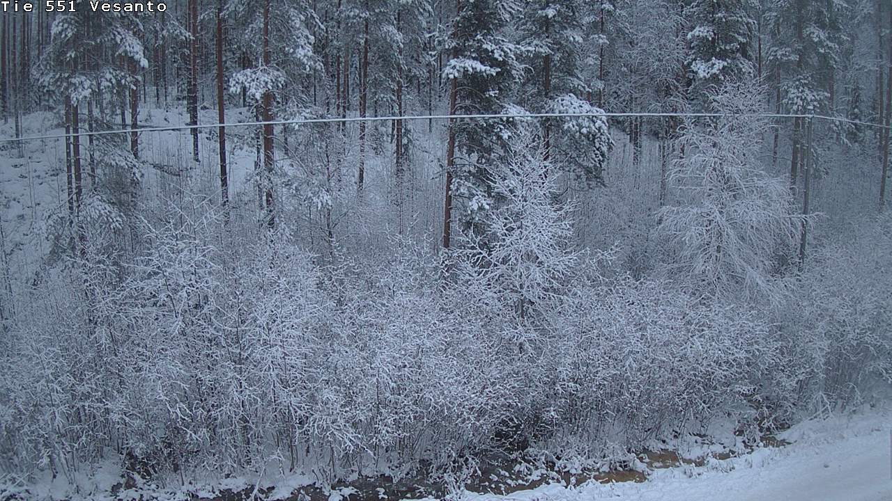 Kelikamerat Kuva Tie 551 Vesanto Löttökorpi, Vesanto, Pohjois-Savo