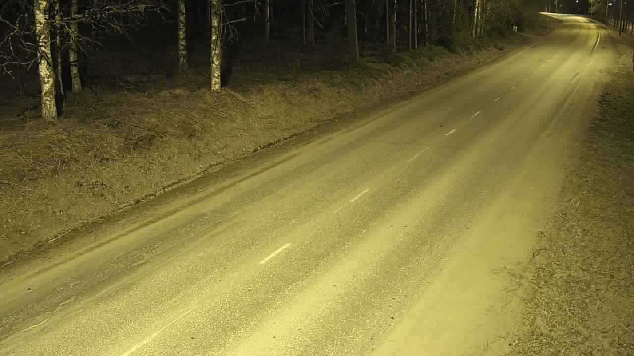 Weather Camera Image Road 577 Lapinlahti, Varpaisjärvi, Lapinlahti, Pohjois-Savo