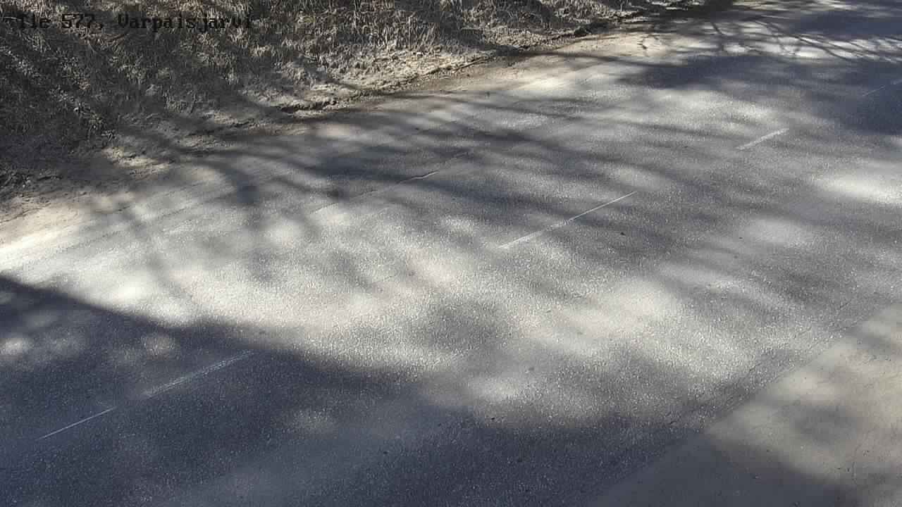 Kelikamerat Kuva Tie 577 Lapinlahti, Varpaisjärvi, Lapinlahti, Pohjois-Savo