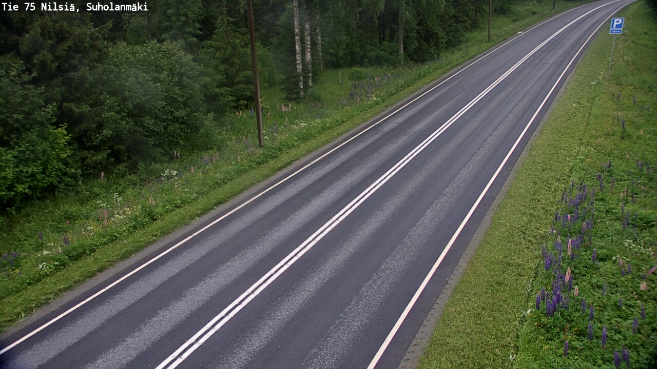 Weather Camera Image Road 75 Nilsiä, Suholanmäki, Kuopio, Pohjois-Savo