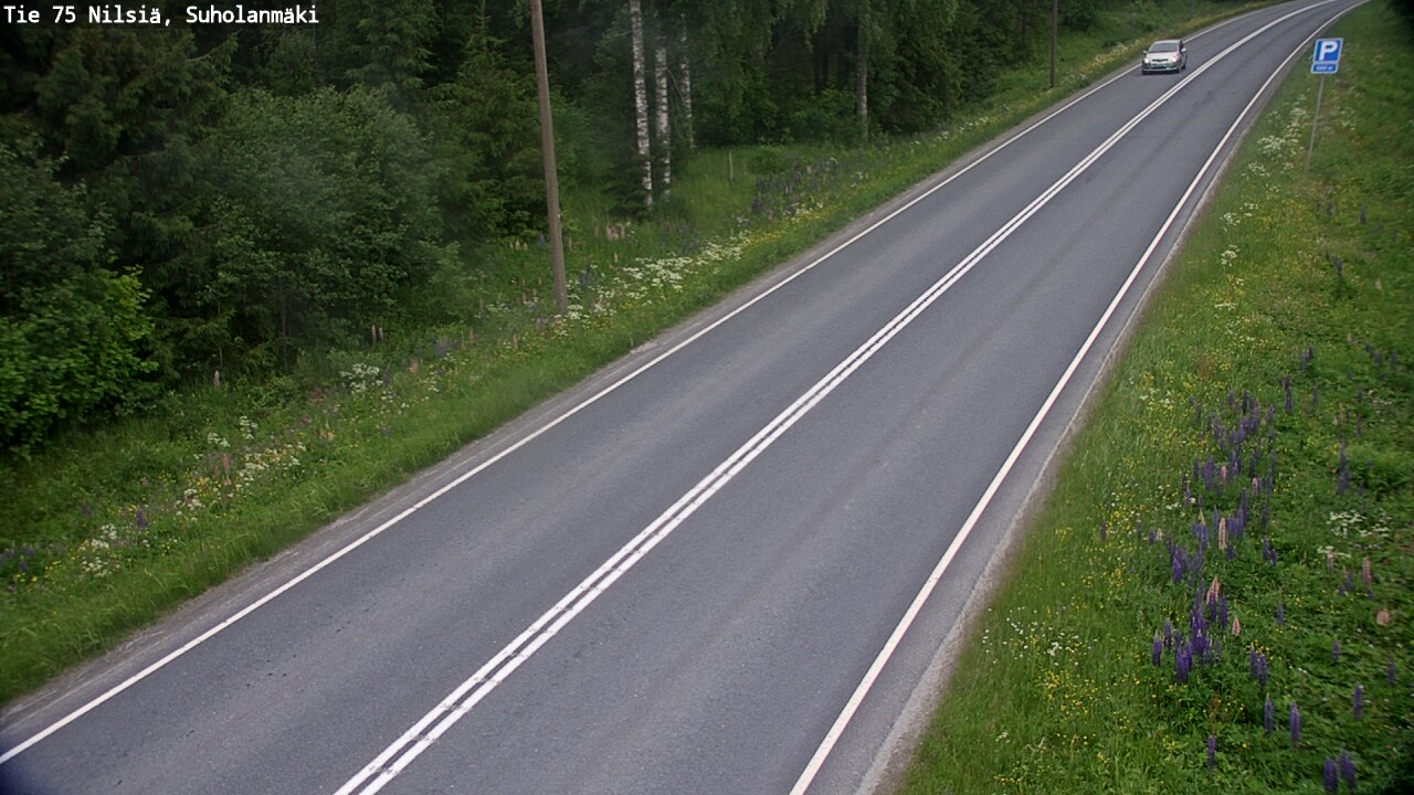 Kelikamerat Kuva Tie 75 Nilsiä, Suholanmäki, Kuopio, Pohjois-Savo