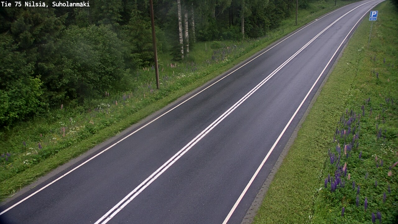 Weather Camera Image Road 75 Nilsiä, Suholanmäki, Kuopio, Pohjois-Savo