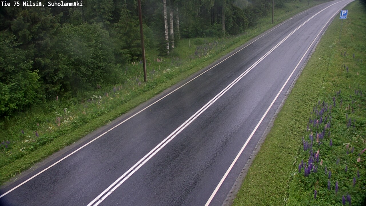 Weather Camera Image Road 75 Nilsiä, Suholanmäki, Kuopio, Pohjois-Savo