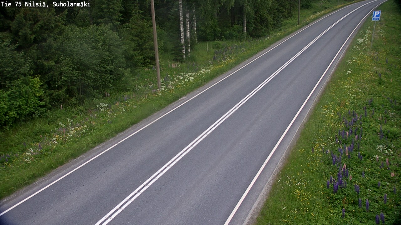 Kelikamerat Kuva Tie 75 Nilsiä, Suholanmäki, Kuopio, Pohjois-Savo
