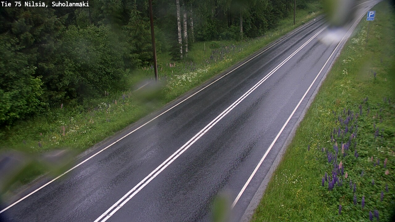 Weather Camera Image Road 75 Nilsiä, Suholanmäki, Kuopio, Pohjois-Savo