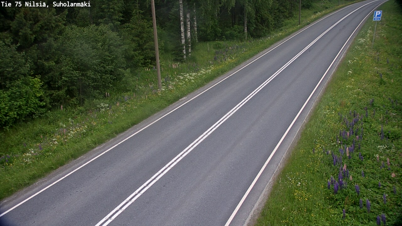 Kelikamerat Kuva Tie 75 Nilsiä, Suholanmäki, Kuopio, Pohjois-Savo