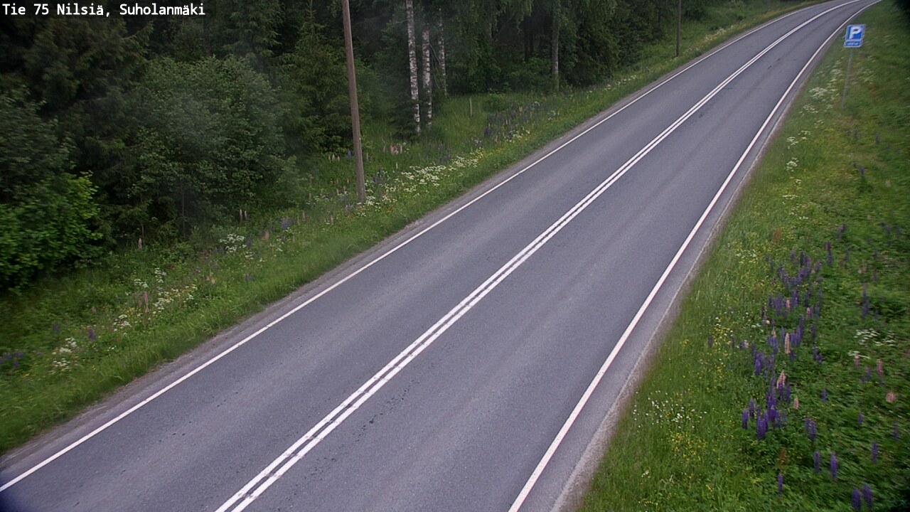 Kelikamerat Kuva Tie 75 Nilsiä, Suholanmäki, Kuopio, Pohjois-Savo