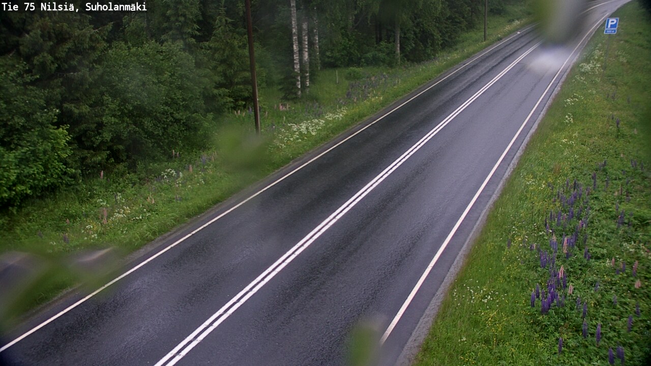 Weather Camera Image Road 75 Nilsiä, Suholanmäki, Kuopio, Pohjois-Savo