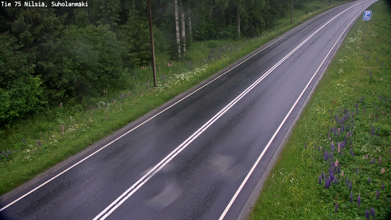 Weather Camera Image Road 75 Nilsiä, Suholanmäki, Kuopio, Pohjois-Savo
