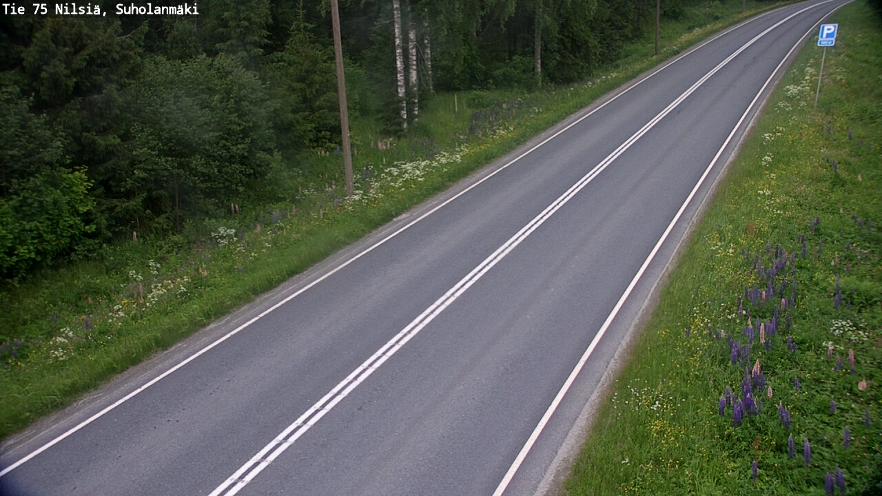 Kelikamerat Kuva Tie 75 Nilsiä, Suholanmäki, Kuopio, Pohjois-Savo