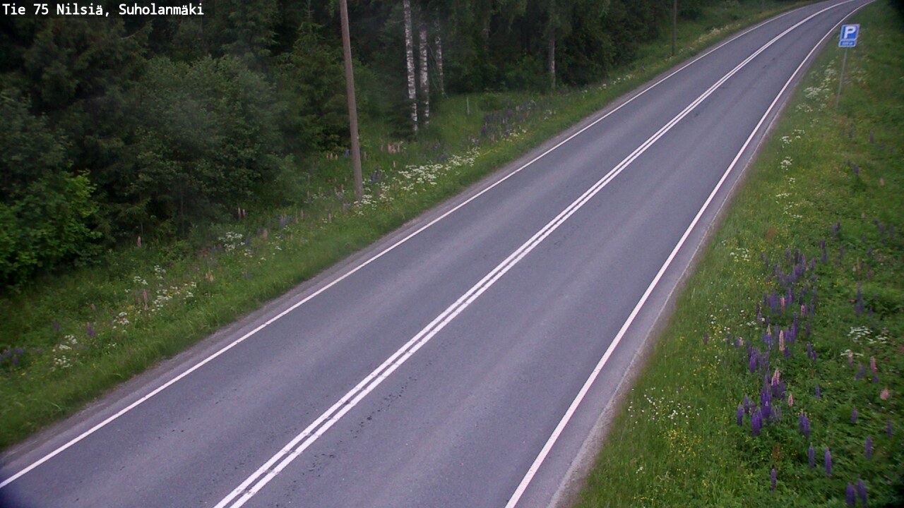 Kelikamerat Kuva Tie 75 Nilsiä, Suholanmäki, Kuopio, Pohjois-Savo