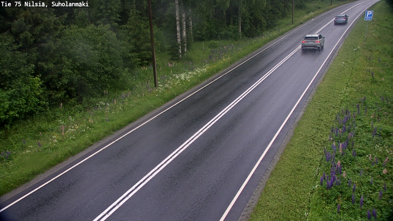 Weather Camera Image Road 75 Nilsiä, Suholanmäki, Kuopio, Pohjois-Savo