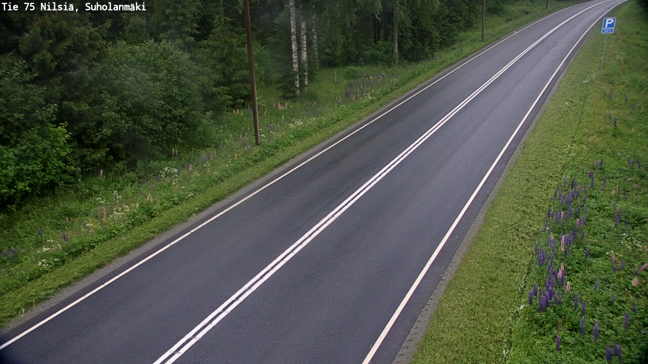 Weather Camera Image Road 75 Nilsiä, Suholanmäki, Kuopio, Pohjois-Savo