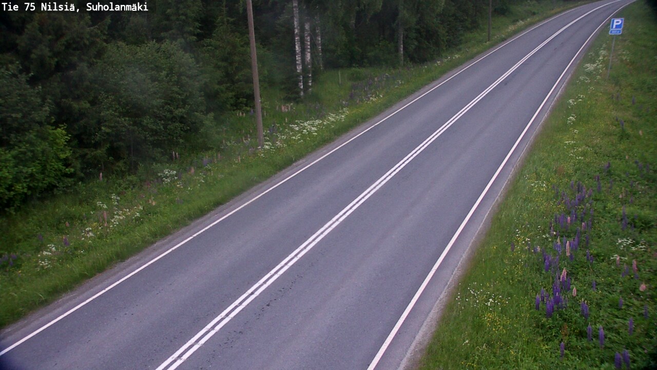 Kelikamerat Kuva Tie 75 Nilsiä, Suholanmäki, Kuopio, Pohjois-Savo