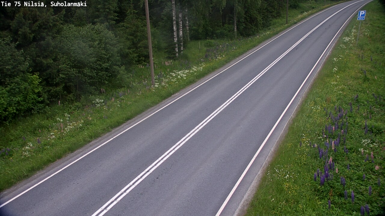 Kelikamerat Kuva Tie 75 Nilsiä, Suholanmäki, Kuopio, Pohjois-Savo
