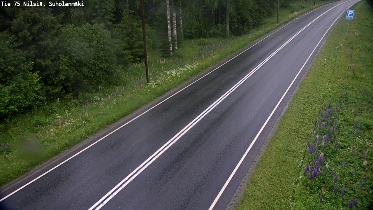 Weather Camera Image Road 75 Nilsiä, Suholanmäki, Kuopio, Pohjois-Savo