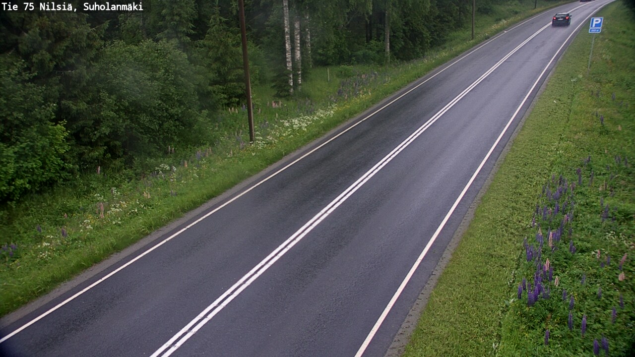 Weather Camera Image Road 75 Nilsiä, Suholanmäki, Kuopio, Pohjois-Savo