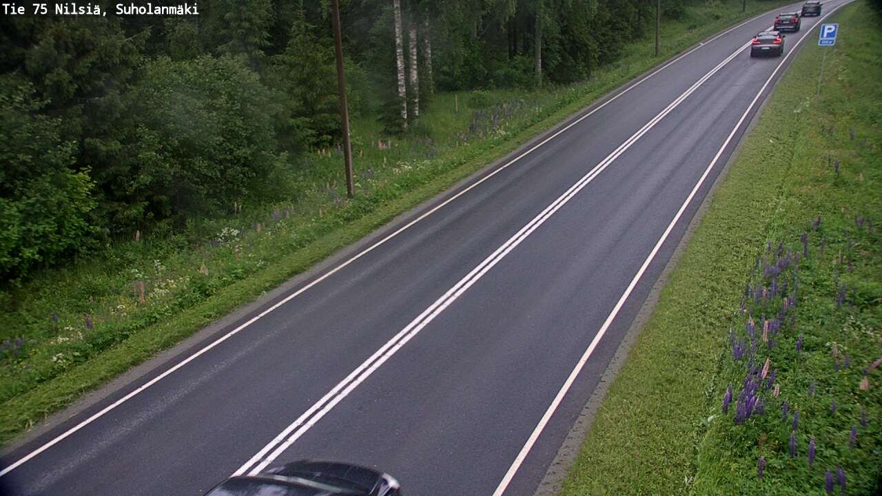 Weather Camera Image Road 75 Nilsiä, Suholanmäki, Kuopio, Pohjois-Savo