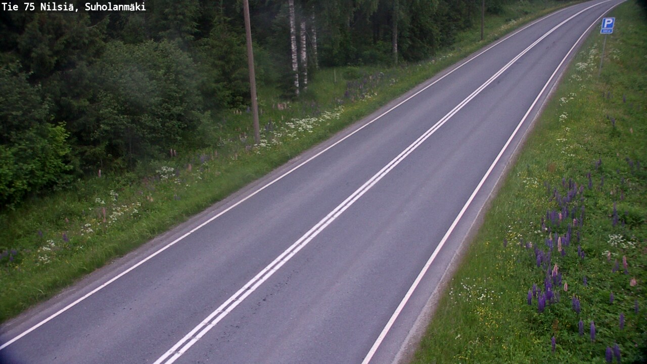Kelikamerat Kuva Tie 75 Nilsiä, Suholanmäki, Kuopio, Pohjois-Savo