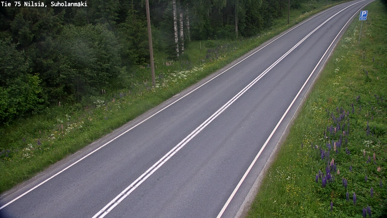 Kelikamerat Kuva Tie 75 Nilsiä, Suholanmäki, Kuopio, Pohjois-Savo