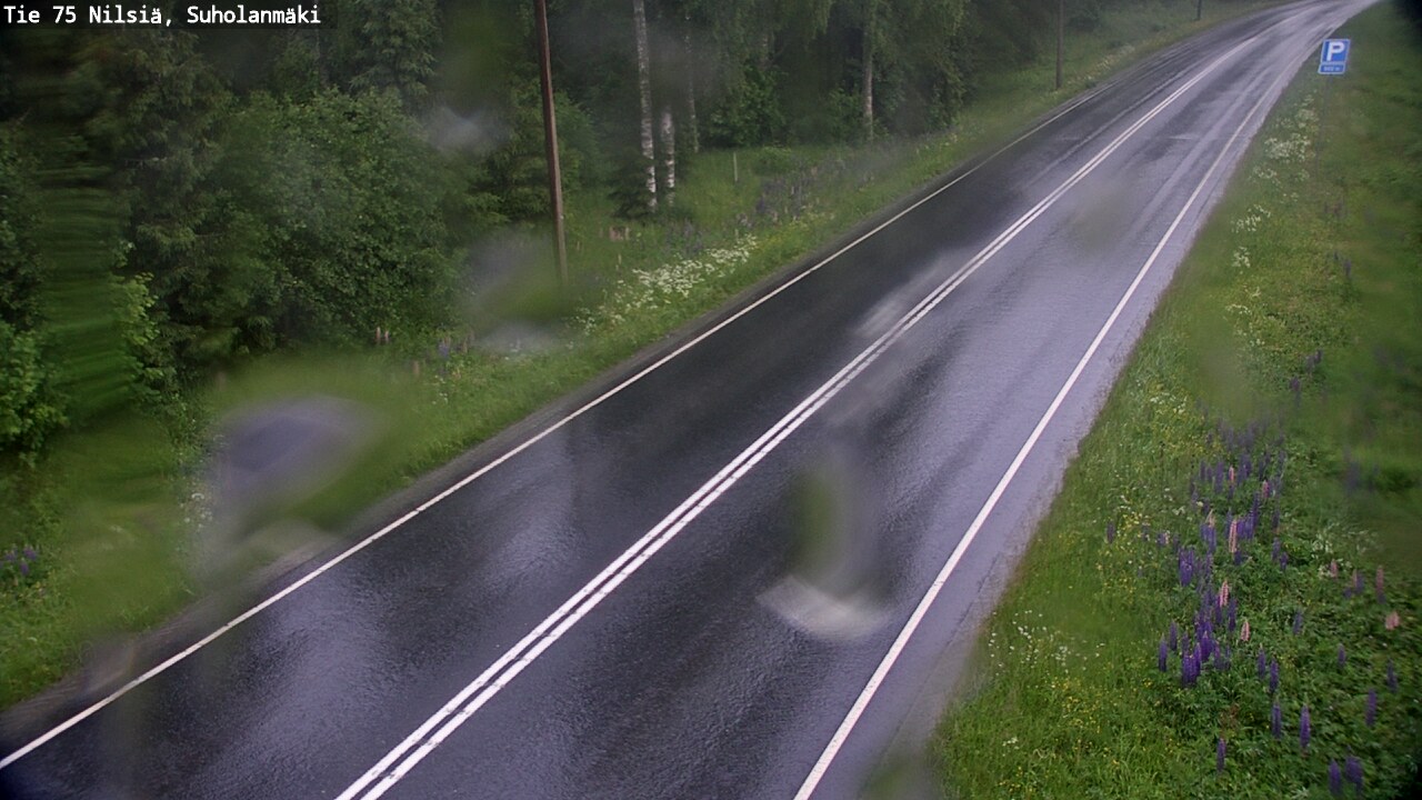 Kelikamerat Kuva Tie 75 Nilsiä, Suholanmäki, Kuopio, Pohjois-Savo