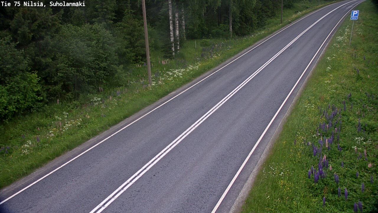 Kelikamerat Kuva Tie 75 Nilsiä, Suholanmäki, Kuopio, Pohjois-Savo