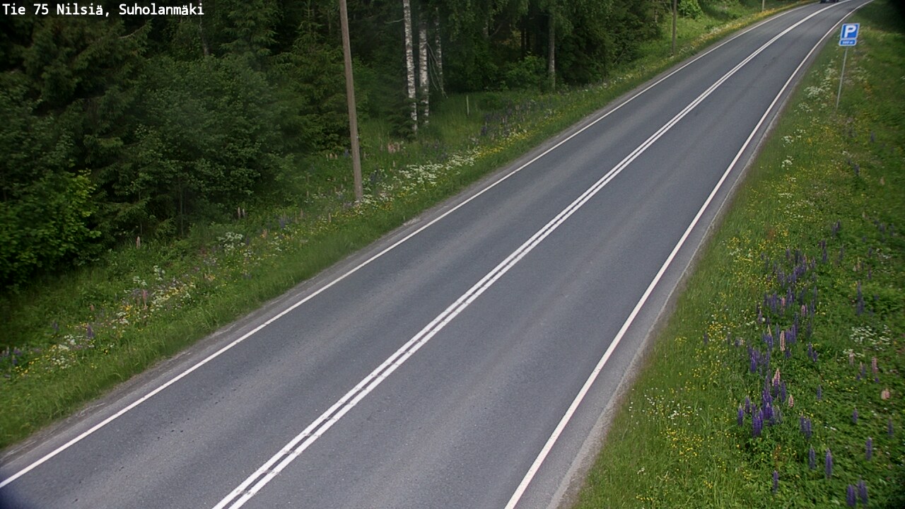 Kelikamerat Kuva Tie 75 Nilsiä, Suholanmäki, Kuopio, Pohjois-Savo