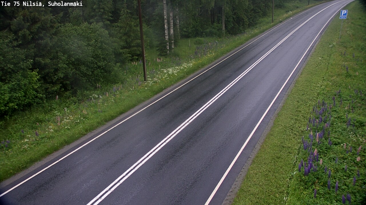 Weather Camera Image Road 75 Nilsiä, Suholanmäki, Kuopio, Pohjois-Savo