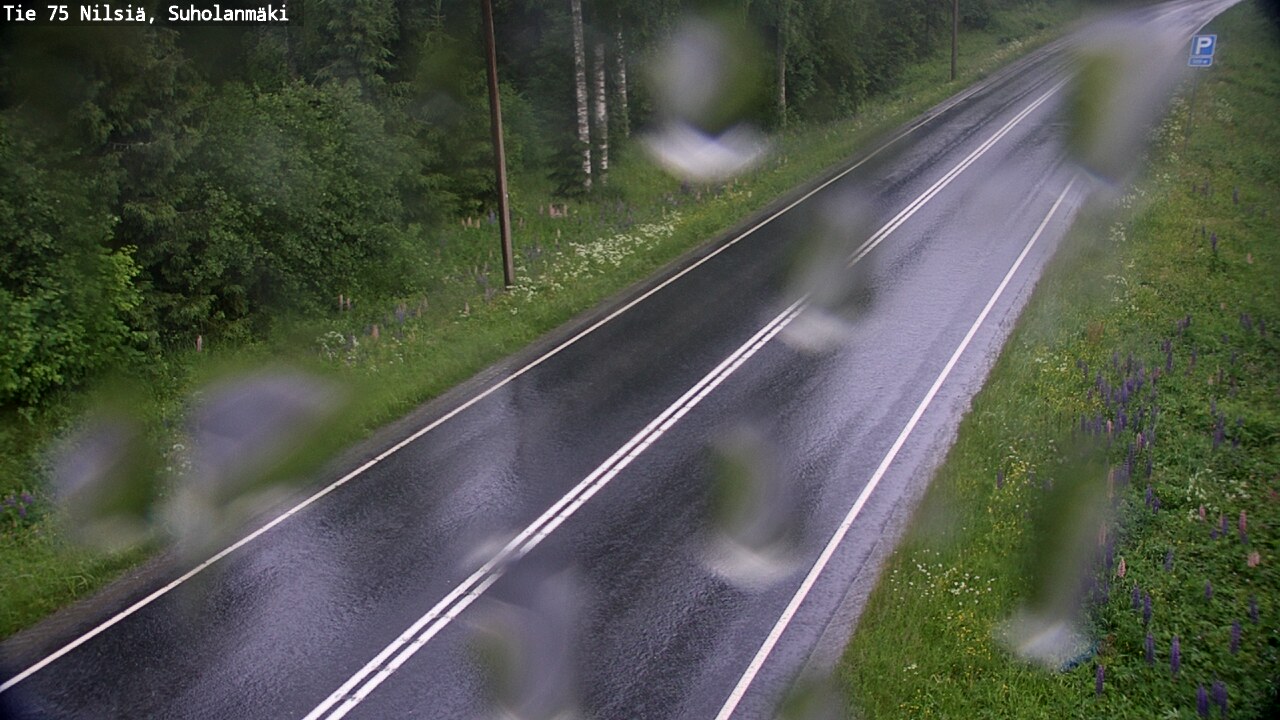 Kelikamerat Kuva Tie 75 Nilsiä, Suholanmäki, Kuopio, Pohjois-Savo