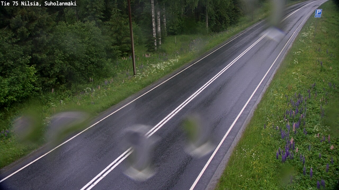 Kelikamerat Kuva Tie 75 Nilsiä, Suholanmäki, Kuopio, Pohjois-Savo