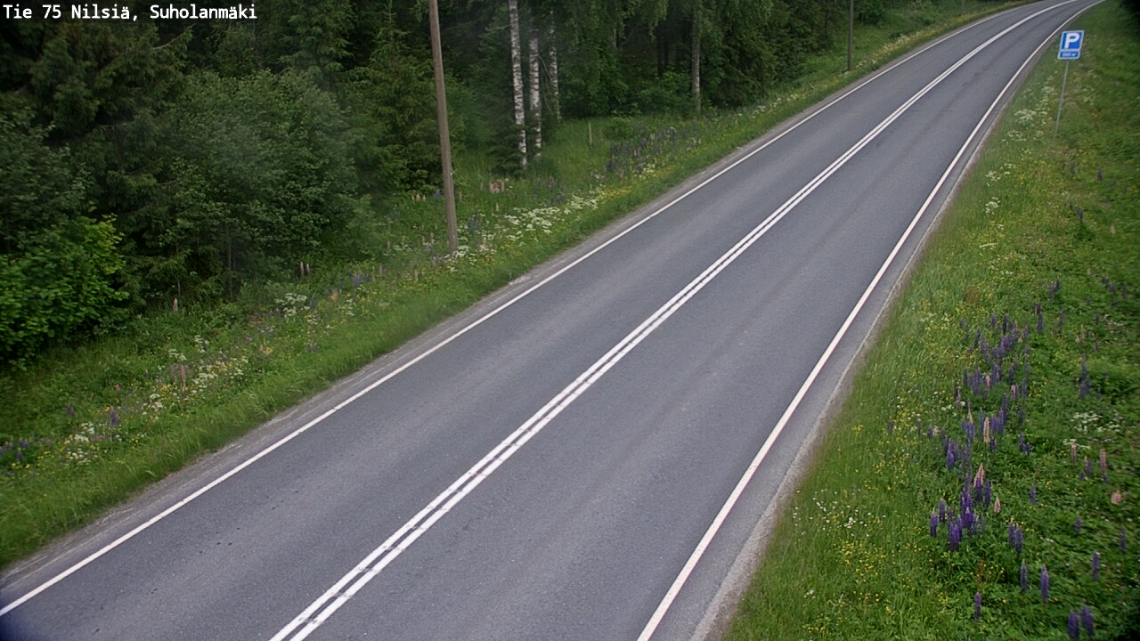 Kelikamerat Kuva Tie 75 Nilsiä, Suholanmäki, Kuopio, Pohjois-Savo