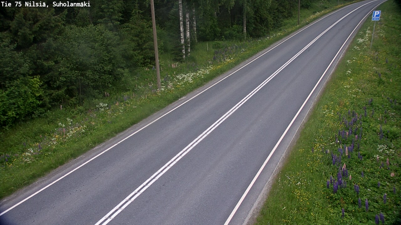 Kelikamerat Kuva Tie 75 Nilsiä, Suholanmäki, Kuopio, Pohjois-Savo