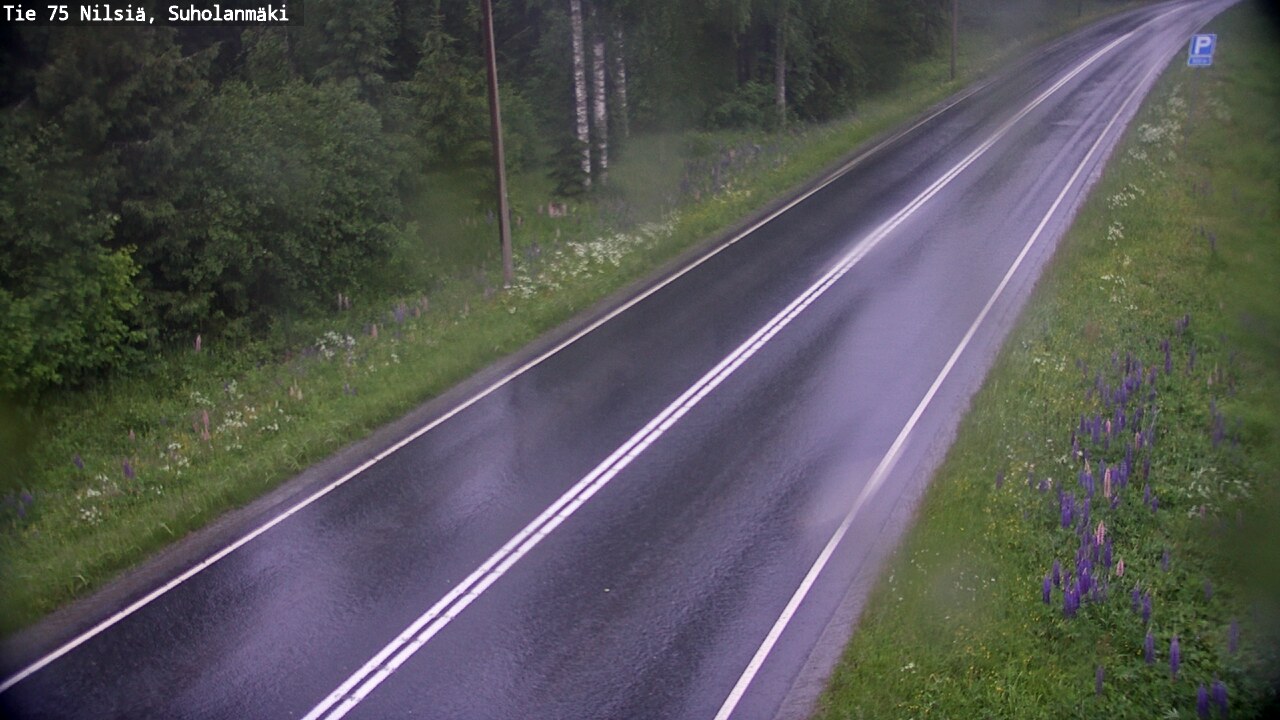 Kelikamerat Kuva Tie 75 Nilsiä, Suholanmäki, Kuopio, Pohjois-Savo