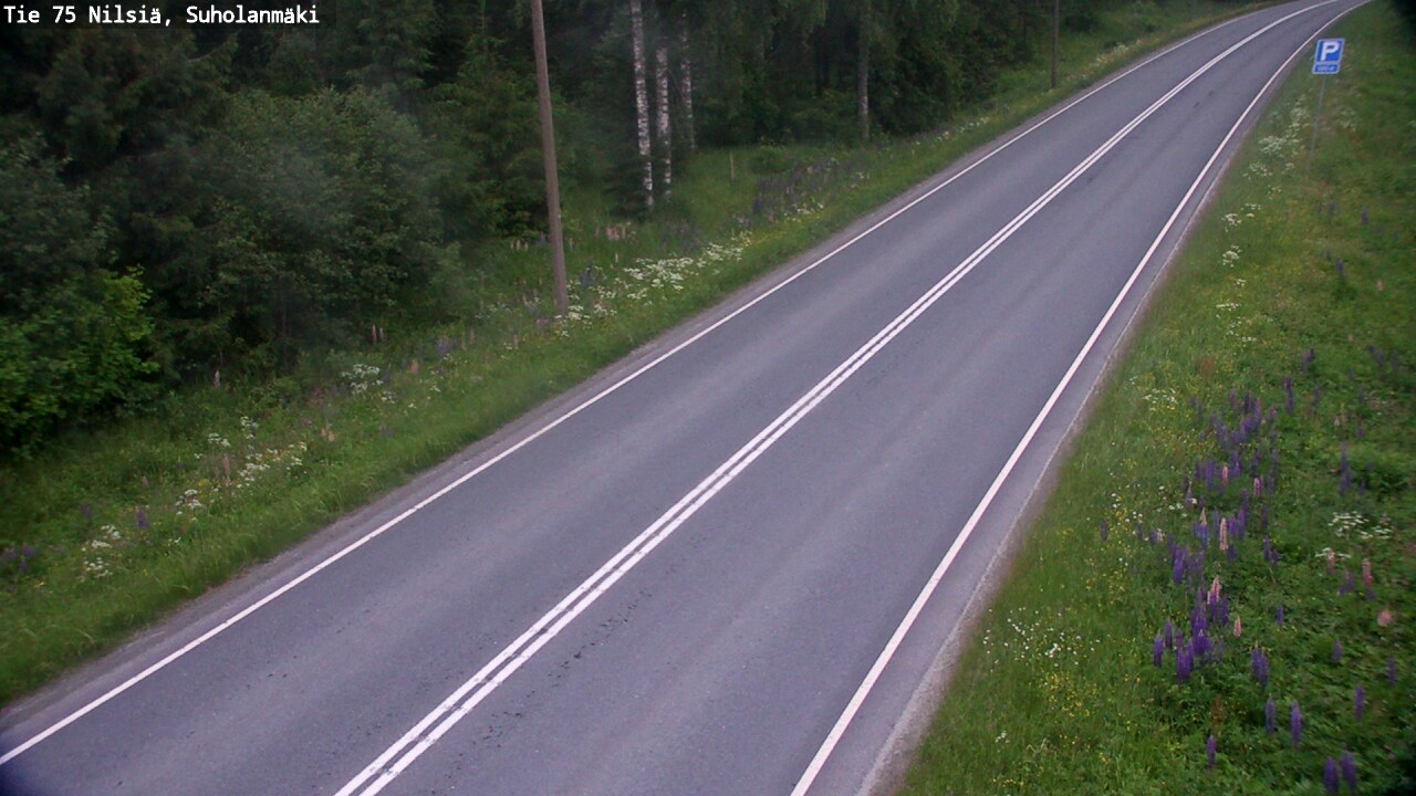 Kelikamerat Kuva Tie 75 Nilsiä, Suholanmäki, Kuopio, Pohjois-Savo