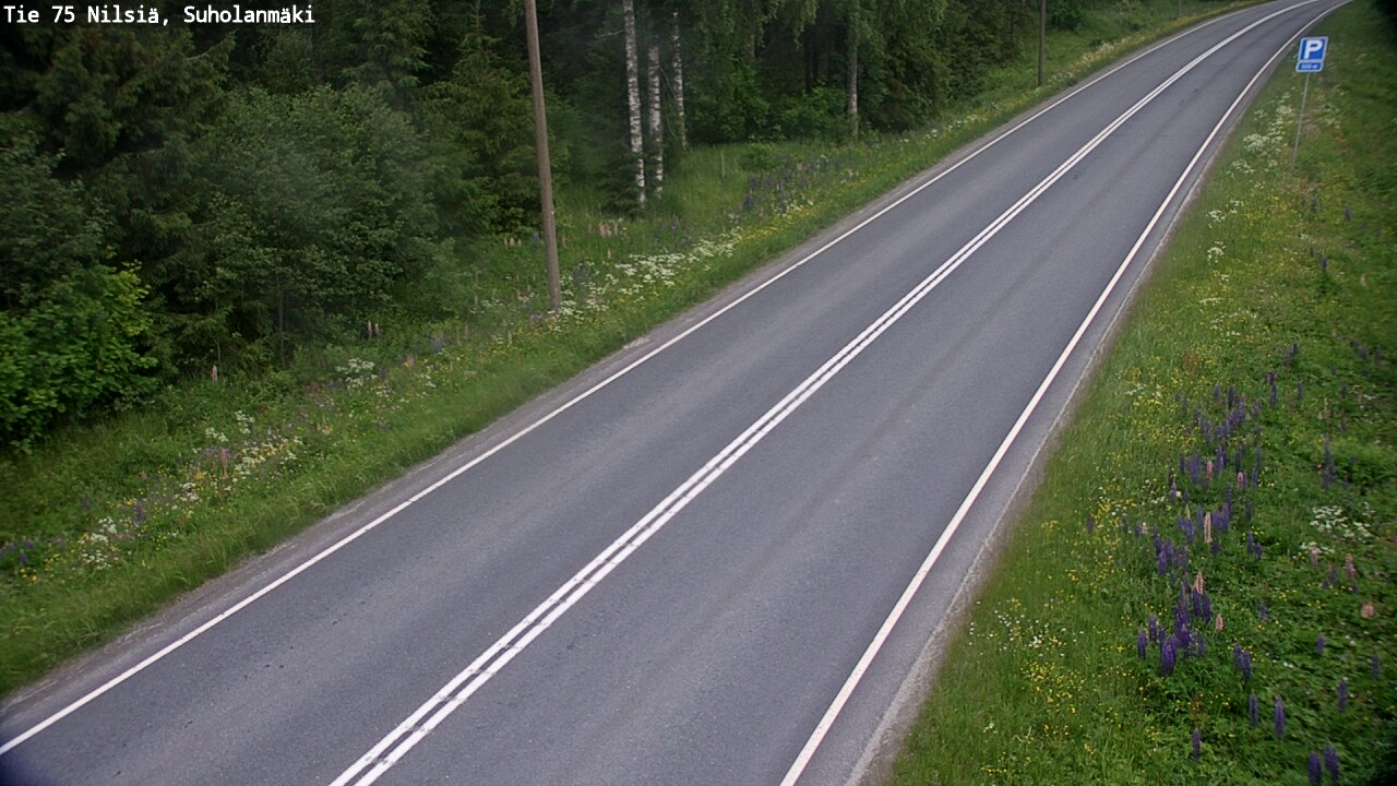 Kelikamerat Kuva Tie 75 Nilsiä, Suholanmäki, Kuopio, Pohjois-Savo