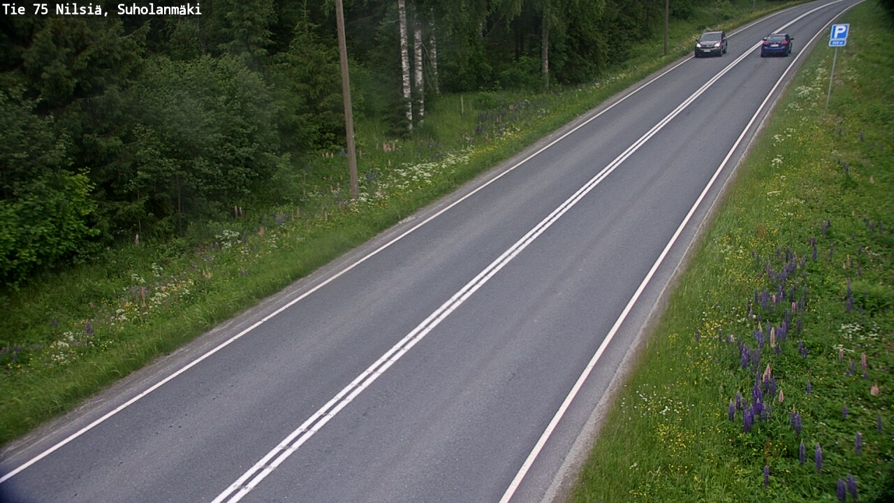 Kelikamerat Kuva Tie 75 Nilsiä, Suholanmäki, Kuopio, Pohjois-Savo