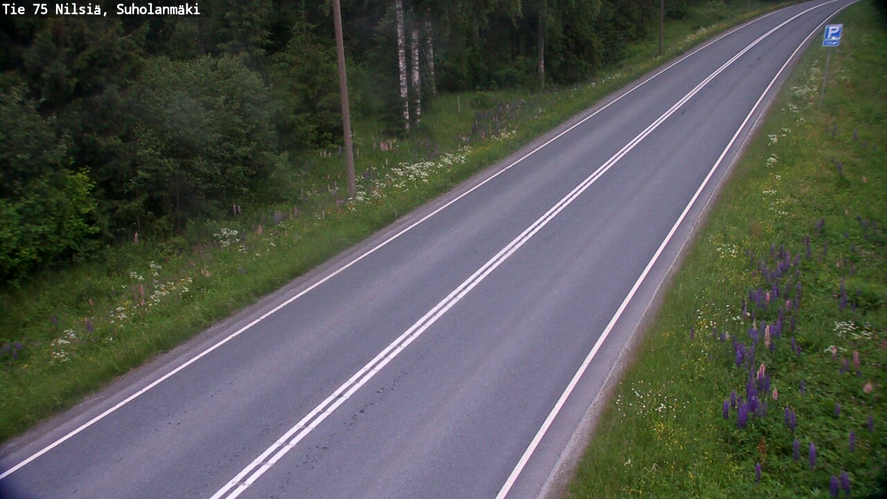 Kelikamerat Kuva Tie 75 Nilsiä, Suholanmäki, Kuopio, Pohjois-Savo